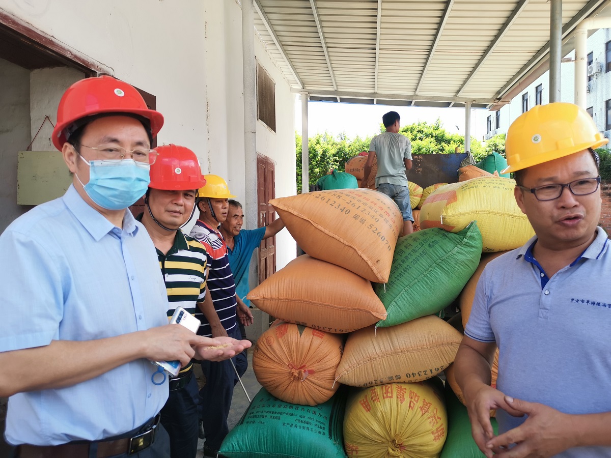 省糧食和儲備局黨組成員、副局長吳津偉帶隊前往云浮羅定市督導調研9fb09211c3d24912b29c8e3ba4a67671.jpg